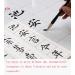 Reusable Chinese Magic Cloth Water-Paper Set for Beginners | Chinese Calligraphy Practice Kit - Buy Online on GoSupps.com