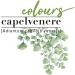Helan Capelvenere Colours Natural Permanent Hair Colouring Formula Sweet 6N Dark Blonde Easy to Use Colouring Kit Odourless Excellent Coverage Ammonia and Alcohol Free Hair Colouring - Buy Online on GoSupps.com