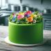 Dekozauber24 Premium Fondant 500g - Soft & Flexible Edible Cake Decoration in 17 Colors (Green) - International Shipping Available - Buy Online on GoSupps.com
