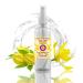d ve herbes Pure Ylang Ylang Floral Water (Hydrosol) (Cananga odorata) 100ml (3.38 oz)