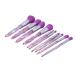 Soft Lightweight Portable Purple Makeup Brush Set - 10 Pcs Blush & Eyeshadow - Skin Friendly Cosmetics for Daily Use - International Shipping Available - Buy Online on GoSupps.com