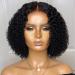Shop Lace Front Human Hair Wig - Curly Middle Part Short Lace Closure Wigs for International Shipping - Buy Online on GoSupps.com