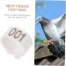 Levemolo 100 Pcs Pigeon Anklet African Grey Parrot Leg Ring Charms Plastic Poultry Pen Drumstick White 1.3X1.3CM White - Buy Online on GoSupps.com