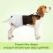 Shop PET Soft Disposable Dog Diapers for Bitches - 12 Pack High-Suction Incontinence & Heat Protection - Buy Online on GoSupps.com