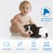 Shop BPS-2181 Disposable Dog Diapers 16 Pack XS | International Shipping Available - Buy Online on GoSupps.com