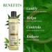 K.hadi N.atural Neem and Tea Tree Face Wash Purifying and Cleansing Formula 200ml - Buy Online on GoSupps.com