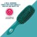 Wet Brush Pet Brush Smooth & Shine Teal - BPET833TEAL - Buy Online on GoSupps.com