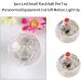 3 Pcs LED Flashing Balls Light Up Cat Dog Balls Flashing Elastic Ball Pet Color Light Play Jumping Interactive Ball Interactive Toys Pet Color Light Ball Interactive Toys for Cats Dogs(Clear) - Buy Online on GoSupps.com