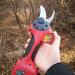 Electric Pruning Shears Garden 25Mm Branch Cutter Electric Cordless with 2 Rechargeable Lithium Battery Garden Fruit Tree Bushes Trimmer Small Gift - Buy Online on GoSupps.com