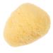 FOMIYES Natural Sponge Greece Facial Essentials Face Cleansing Pads Facial Sponges for Washing Face Cleansing Sponges Face Sponges Face Scrubber Facial Supplies Professional