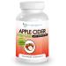 Apple Cider Vinegar Capsules - 100% Organic Apple Cider Vinegar Pills 1500 mg - Natural Digestion  Immune Booster Support & Cleansing Supplement with Probiotics - Made in The USA 120 Count (Pack of 1)