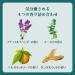 Kao Babu Bath BAB Full Herb 12 Tablets - Natural Herbal Body Wash Tablets - Buy Online on GoSupps.com