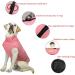 Buy Femax Waterproof Dog Jacket - Winter Warm Coat for Small & Medium Dogs | Padded Pet Vest in Pink Cherry Blossom - Buy Online on GoSupps.com
