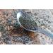 Nutiva Organic Black Chia Seeds 6 oz - Premium Superfood for Health - Buy Online on GoSupps.com