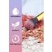 MUJGAN Ultimate 16-Purple Eyeshadow Palette Autumn Colors No 01 788781241412000 - Buy Online on GoSupps.com