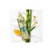 Pantene Miracles Bamboo & Biotin Long and Strong Hair Care Set (Shampoo + Conditioner + Styling) - Buy Online on GoSupps.com