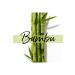 Pantene Styling Cream Miracles Bamboo And Biotin 270 Ml Category: Hair Cream - Buy Online on GoSupps.com