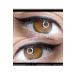 Hera Golden Ratio 20ml Permanent Makeup Eyeliner Paint (AMERICANO DOUBLE) - Buy Online on GoSupps.com