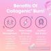 Obvi Collagenic Thermogenic Fat Burner | 30 Servings | Boost Metabolism & Skin Health - Buy Online on GoSupps.com