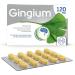 Gingium 120 mg Film-Coated Tablets - 30 pcs | Herbal Support for Memory & Focus | International Shipping Available - Buy Online on GoSupps.com