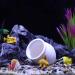 VOCOSTE Aquarium Hideaway Rock Cave White 3.19x3.11x3.11 Inches - Buy Online on GoSupps.com
