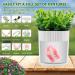 YCROJBK Denture Bath - Eucalyptus Potted Plants Design, Denture Case with Strainer for Retainer & Mouth Guard - Home Decoration - Buy Online on GoSupps.com