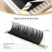 Lashview C-Bend 12mm 0.20 Strength Artificial Eyelash Extensions | Dense Natural Semi-Persistent | Professional Eye-Catching Applications - Buy Online on GoSupps.com