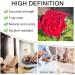 AEZUNI Oversize Square Reading Glasses for Women - Trendy Large Readers (Demi 1.0 - 3.5) - Stylish Oversized Prescription Eyewear International Shipping Available - Buy Online on GoSupps.com
