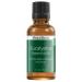 Viva Doria 100% Pure Eucalyptus Globulus Essential Oil Undiluted Food Grade 1 Fl Oz (30 mL)