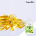 NaturalSlim Metaboil 500 with Evening Primrose Oil & GLA - 250 Softgels - Buy Online on GoSupps.com