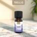 Lavender Essential Oil 10ml by Trellis | 100% Pure Aromatherapy Oil for Diffusers | Vegan & Cruelty-Free | Ethically Sourced & Bottled in the UK - Buy Online on GoSupps.com