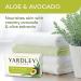Yardley London Aloe and Avocado Moisturizing Bath Bar - Pack of 3 (4 oz) | International Shipping Available - Buy Online on GoSupps.com