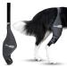 Ortocanis Kniebandage dog hind leg left size S - bandage dog hind leg with cruciate ligament injuries patellar luxation or osteoarthritis left leg size small