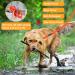 Vivifying Waterproof Dog Leash 20ft Durable PVC Long Line Lead with Padded Handle Great for Medium Large Dogs Training Swimming Beach and Yard (6M Orange) - Buy Online on GoSupps.com