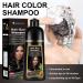 Natural Black Hair Coloring Shampoo 3-IN-1 Hair Coloring Shampoo Nourishing and Dyeing Brown Hair for Men and Women in 10-15 Mins(Natural Black) - Buy Online on GoSupps.com