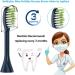 8 Pack Midnight Navy Blue Replacement Toothbrush Heads Compatible with Philips Sonicare One BH1022/05 - Buy Online on GoSupps.com