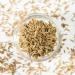 McCormick Gourmet (MCCO3) New Bottle Premium Quality Natural Herbs & Spices Onion Powder 43g - Buy Online on GoSupps.com