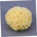 Housoutil Bath Sponge Sponges Bath Shower Sponge Seaweed Sponge Bath Flower Take a Bath Baby - Buy Online on GoSupps.com