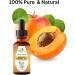100% Pure Organic Apricot Kernel Oil - Cold-Pressed 2 oz from Turkey | Ideal for Massage Skincare Hair & Aromatherapy - Buy Online on GoSupps.com