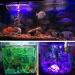 MingDak LED Aquarium Light - Wireless Remote - RGB Color Changing - Underwater Submersible - 7.5'' (9 LEDs) - Buy Online on GoSupps.com