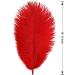 THARAHT 24pcs Red Ostrich Feathers 10-12Inch for Wedding & Party Centerpieces - Bulk Natural Feathers for Easter, Gatsby & Home Decor - Buy Online on GoSupps.com