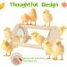 Cubolar Pine Chicken Perch with Mirror and Jungle Gym Roosting Bar | Chicken Toys for Coop and Brooder | Training Perch for Large Birds - Parrot, Macaw, Hens - Buy Online on GoSupps.com