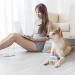 Nizirioo Plush Dog Toys - Birthday Cake & Bone Toys for Puppies | Soft & Safe Dog Birthday Gifts - Buy Online on GoSupps.com
