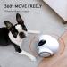 GULIGULI Smart Pet Camera: 1080P Full HD WiFi, Night Vision, 2-Way Audio, No Monthly Fee | Dog Treat Camera & Movable Companion Robot for Pets | Phone App Controlled (2.4G WiFi ONLY) - Buy Online on GoSupps.com