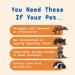 Native Pet Organic Pumpkin for Dogs - All-Natural Fiber (8 oz & 16 oz) | Mix to Create Delicious Puree | Canned Pumpkin Alternative - Buy Online on GoSupps.com