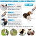 Diyife Dog Clicker Training Set - Large Button & Hand Loop 2-Piece Professional Clicker for Dogs Cats & Horses - Blue & Red - Buy Online on GoSupps.com