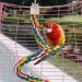 Colorful 41-inch Rope Perch Toy for Parrots, Cockatiels, Parakeets, Budgies - Metal Nut Included - Buy Online on GoSupps.com