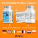 Magnesium Bisglycinate 240 Capsules High Content 300 mg/d Fights Fatigue and Stress Supports Muscles High Absorption and Bioactive 100% Vegan and No Additives - Buy Online on GoSupps.com