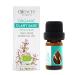 Essences Bulgaria Bio Muskatellersalbei essential oil 5ml |Salvia Sclarea |100% natural clean |Undiluted |Bio-certified |Top quality from family business |Without genetic engineering |Vegan Muskatellersalbe 5ml