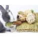 LLGLEU 2 Pcs Grass Mat for Rabbit with 4 Play Balls Pine Cone Carrot Bunny Chew Toy Natural Woven Bed Mat Molar Teeth Set for Guinea Pig Chinchilla Squirrel Hamster and Small Animal (Typ1) - Buy Online on GoSupps.com